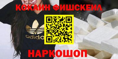 Альфа ПВП Моздок