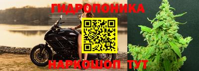 каннабис Можга