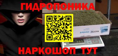 Альфа ПВП Моздок