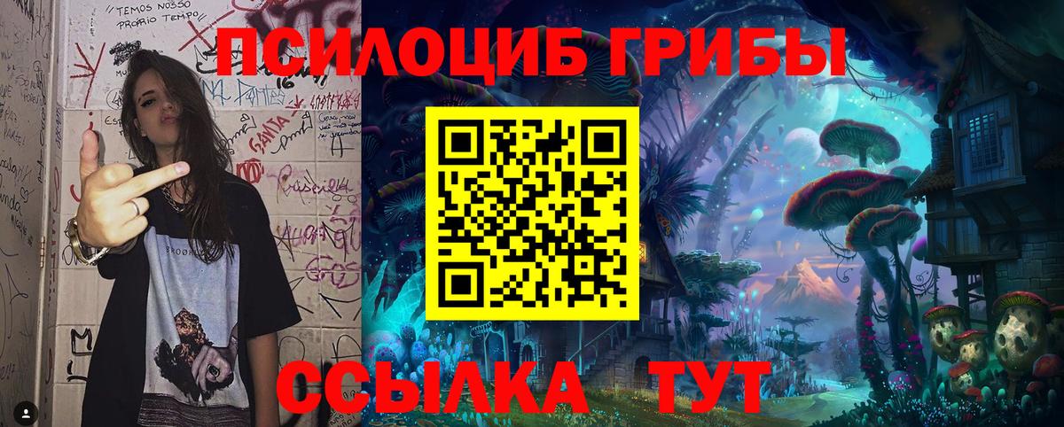 Галлюциногенные грибы Psilocybe  Вход с VPN  Нурлат 
